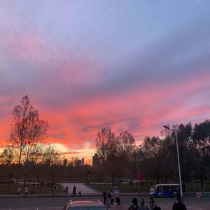 三级片网站视频
