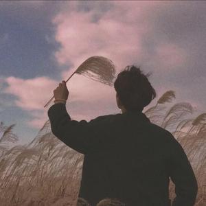 三级片网站视频
