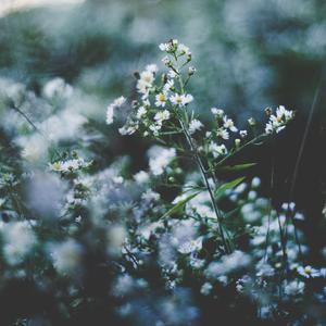 三级片网站视频
