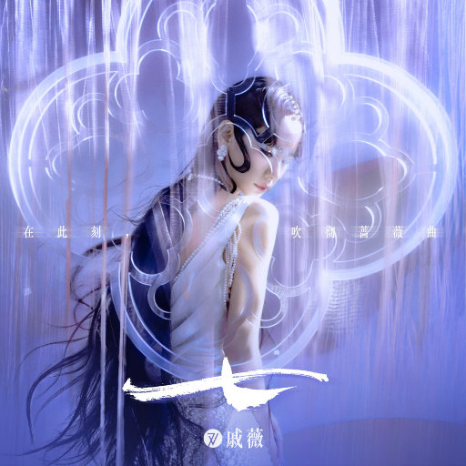 三级片网站视频
